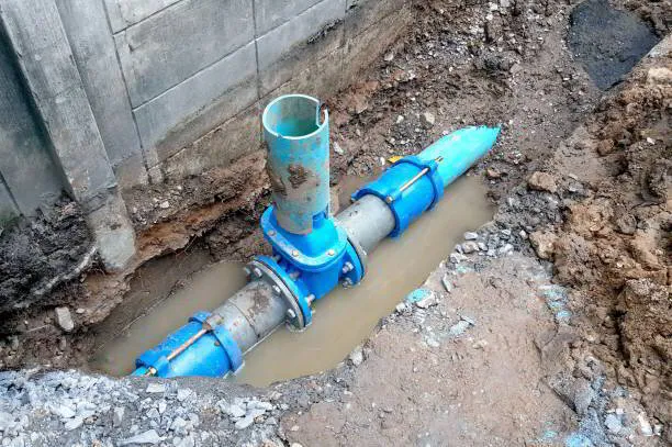 istockphoto-1292068819-612x612-7852820 (1)