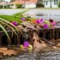 Florida_drains_clog_often_202605132317 85x85